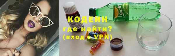 индика Киреевск