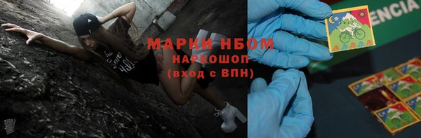 шишки Козельск