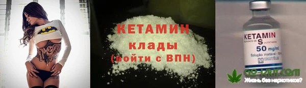 шишки Козельск