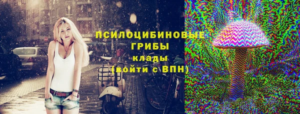 шишки Козельск