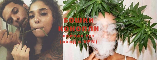шишки Козельск