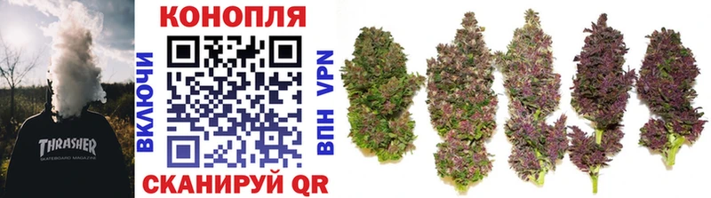 Купить закладки  Венёв  Бошки марихуана THC 21% 